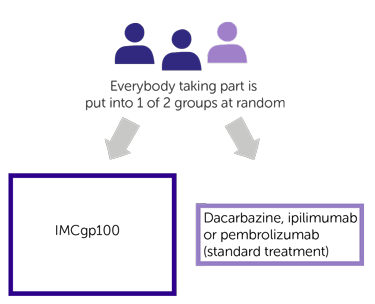 Trial Diagram