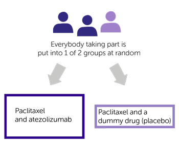 IMpassion131 Trial Diagram