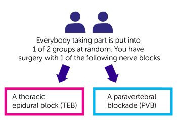 TOPIC 2 Trial Diagram