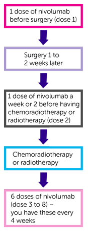 NICO trial treatment flow chart