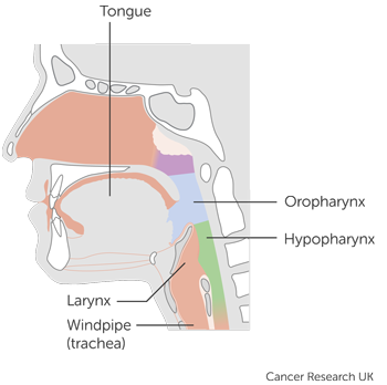 KEYNOTE-689 Diagram 