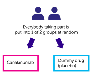 Trial diagram