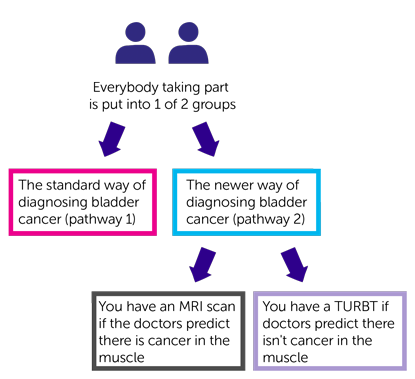15822 Trial Diagram