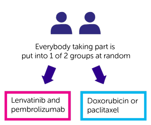 KEYNOTE-775 Trial Diagram 
