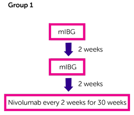 MiNivAN Study Diagram 