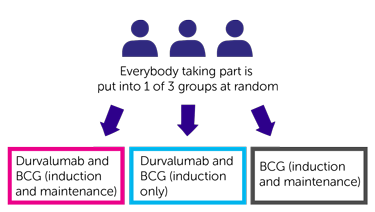 POTOMAC Diagram 