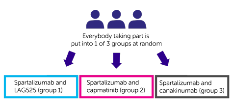 Trial Diagram