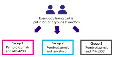 KEYNOTE-495 Trial Diagram
