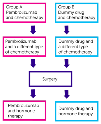 KEYNOTE-756 Trial Diagram