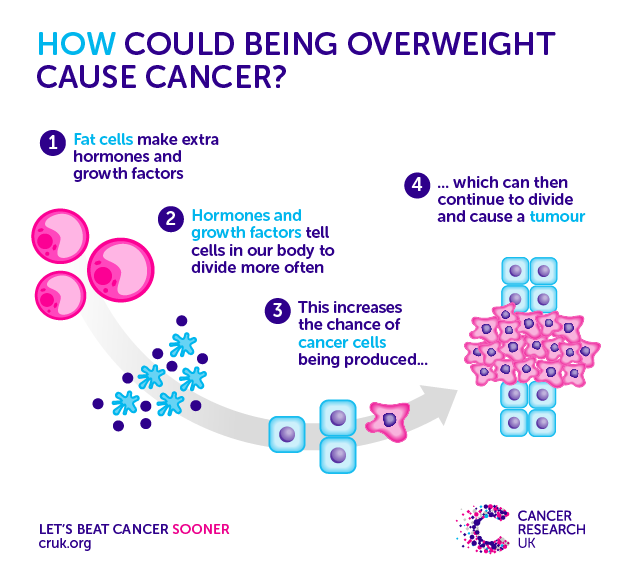 Does obesity cause cancer? Cancer Research UK