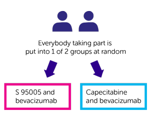 SOLSTICE Trial Diagram