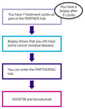 PARTNERING trial diagram