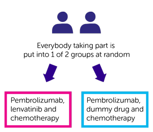 LEAP-006 Trial Diagram