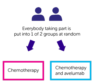 POLEM Trial Diagram