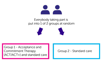 SURECAN trial diagram