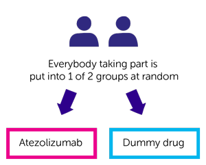 Trial Diagram