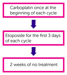 SCLC Trial Diagram