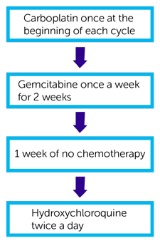 SCLC Trial Diagram