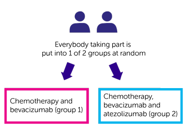 BEAT-meso Trial Diagram 