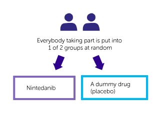 NEMO Trial Diagram