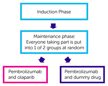 Trial Diagram