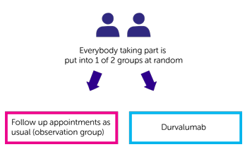 BL13 Trial Diagram
