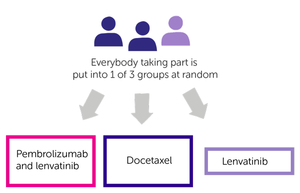 LEAP 008 Trial Diagram