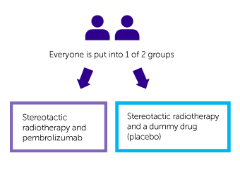 KEYNOTE-867 randomisation diagram