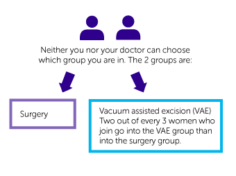 SMALL Trial Diagram