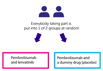 LEAP-010 trial randomisation diagram