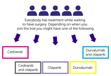WIRE trial diagram