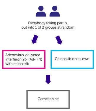 INFINITE Trial Diagram