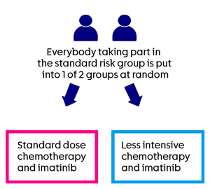 EsPhALL 2017 trial standard risk group randomisation diagram 