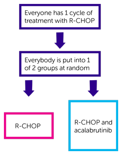 REMoDL-A - trial diagram