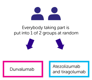 SKYSCAPER-03 randomisation diagram
