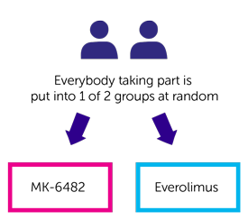 MK-6482-005 trial randomisation diagram