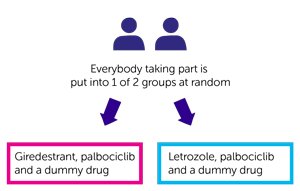 persevERA Trial Diagram