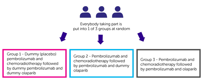KEYLYNK-013 trial randomisation
