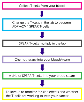 Flow Chart 1