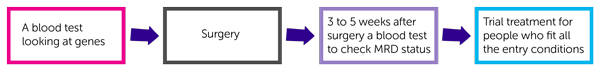 MERMAID-1 Trial Diagram
