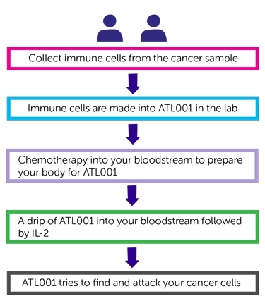 CHIRON trial flow chart of treatment