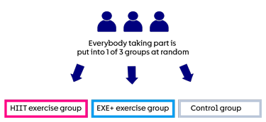 HIIT-CLL trial randomisation diagram