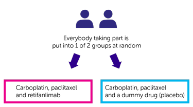 POD1UM-303/InterAACT 2 trial randomisation diagram
