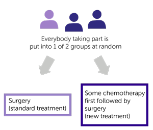 FOXTROT 2 trial randomisation diagram