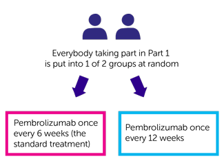 REFINE-Lung Part 1 randomisation diagram