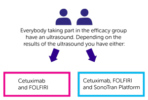 CEeDD trial Efficacy group randomisation diagram