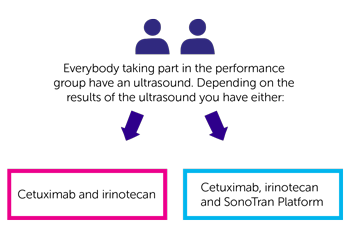 CEeDD trial Performance group randomisation diagram