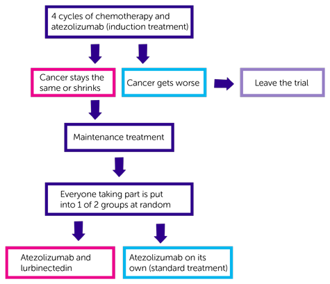 Flow Chart 1
