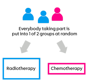BRIOCHE trial randomisation diagram