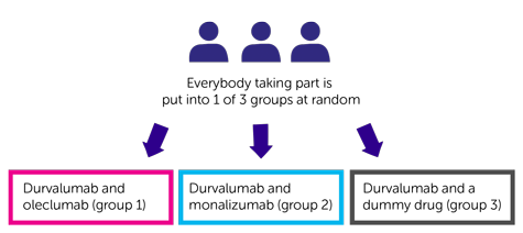 PACIFIC-9 trial randomisation diagram